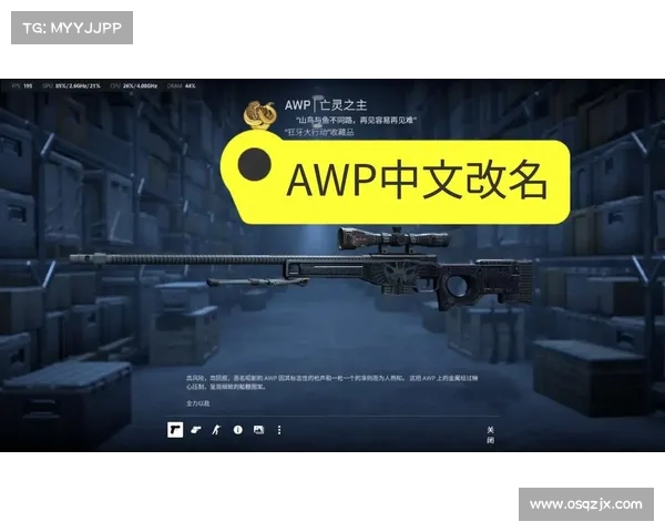 如何在俄罗斯CSGO平台上挑选高性价比皮肤技巧与建议 如何在俄罗斯CSGO平台上挑选高性价比皮肤技巧与建议