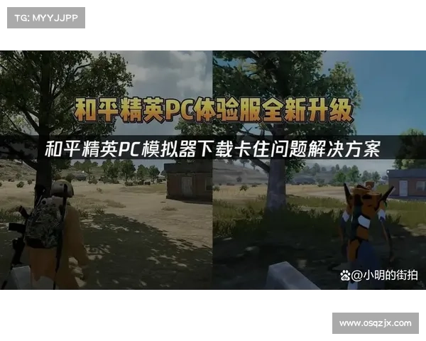 无法进入和平精英游戏？你需要了解的常见问题和解决方法